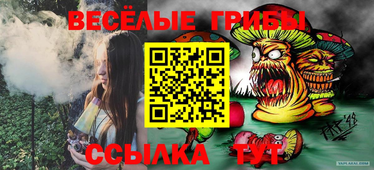 Псилоцибиновые грибы Cubensis  Вход с VPN  Елизово  Псилоцибиновые грибы прущие грибы 